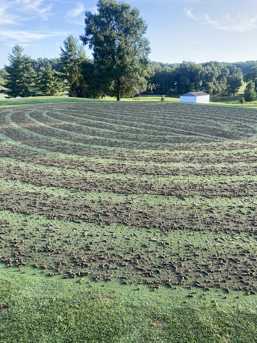 A Labor Day tradition. B9 greens cored and cleaned up the night before aeration begins
