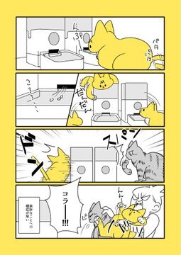 愛すべきうちの猫たち🐈‍⬛🐈
 #私の作品知ってもらえたら幸せの極み 