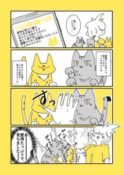 愛すべきうちの猫たち🐈‍⬛🐈
 #私の作品知ってもらえたら幸せの極み 