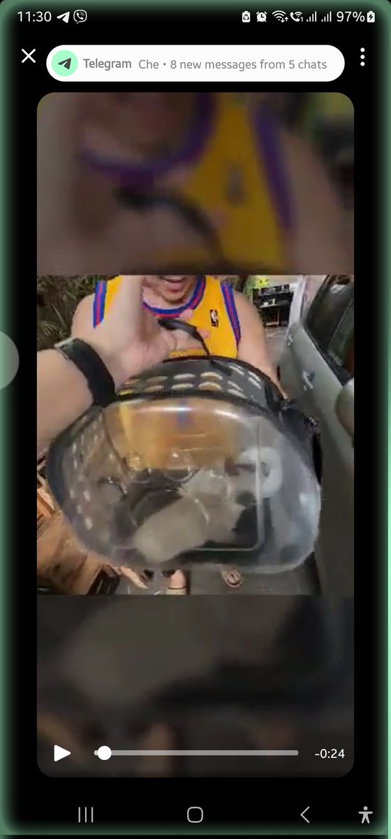 CheCheriray's tweet photo. @OfficialLRTA hi mam sir pwede po magsakay ng pusa sa lrt na nasa ganitong bag? Thanks po ☺️ marikina station to jruiz https://t.co/Bl3YnzksmD