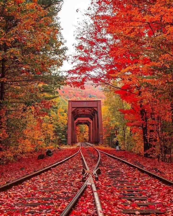 Good morning Friends