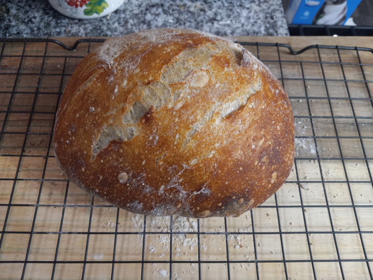Sol (@_justsol) on Twitter photo The closest I've come to making my own bread before today was buying premade dough. There were some hiccups in the process (accidentally confusing two different techniques, using a bit too much water), but I think I did alright with the sourdough recipe(s) from <a href="/therealweissman/">Joshua Weissman</a> The closest I've come to making my own bread before today was buying premade dough. There were some hiccups in the process (accidentally confusing two different techniques, using a bit too much water), but I think I did alright with the sourdough recipe(s) from <a href="/therealweissman/">Joshua Weissman</a>