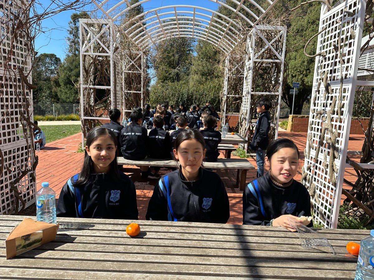 Matthew Pearce PS tweet media