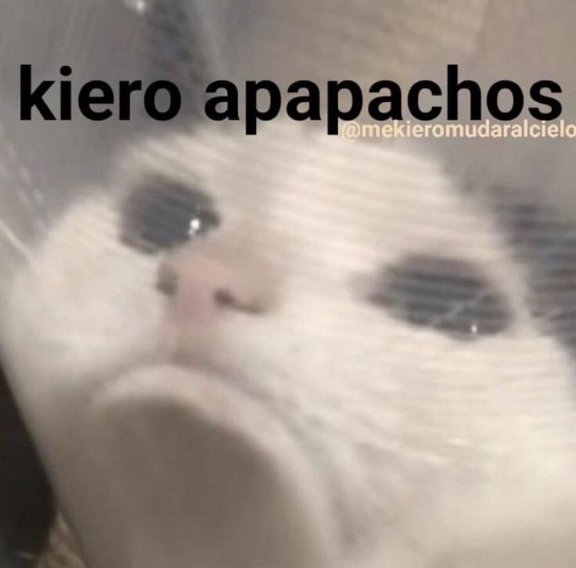 laroladegafas's tweet photo. No importa cuándo lean esto, siempre quiero. https://t.co/rzYLyYhzPq
