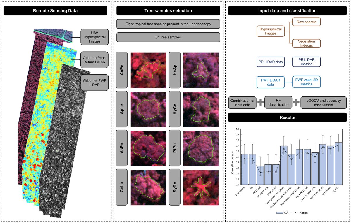 Forests_MDPI's tweet photo. π²#Forestsπ² Editor's Choice Article in 2023 Series
π’"Tree Species Classification in a Complex Brazilian #TropicalForest Using Hyperspectral and #LiDAR Data" written by Rorai Pereira Martins-Neto et al.
π https://t.co/oaA1oIWFl4
π #treespeciesmapping #hyperspectralimaging https://t.co/NYThSFvTeV