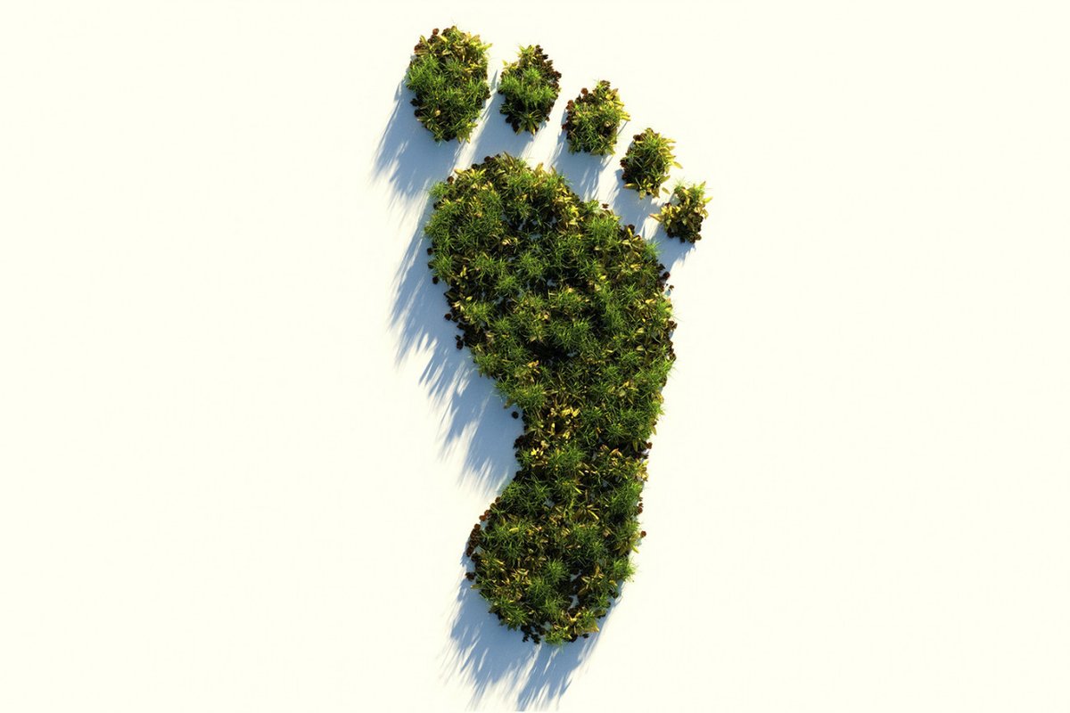 Footprint evaluation aims to embed consideration of environmental sustainability in all evaluations and monitoring systems, not only those with explicit environmental objectives. betterevaluation.org/methods-approa… #footprintevaluation #climatechange #environment #sustainability