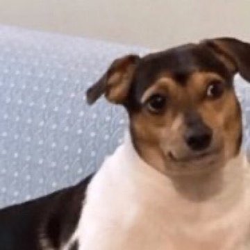 cada dia que passa eu menos entendo g&iacute;rias gays, algu&eacute;m sabe me explicar que desgra&ccedil;a &eacute; afif, adit e