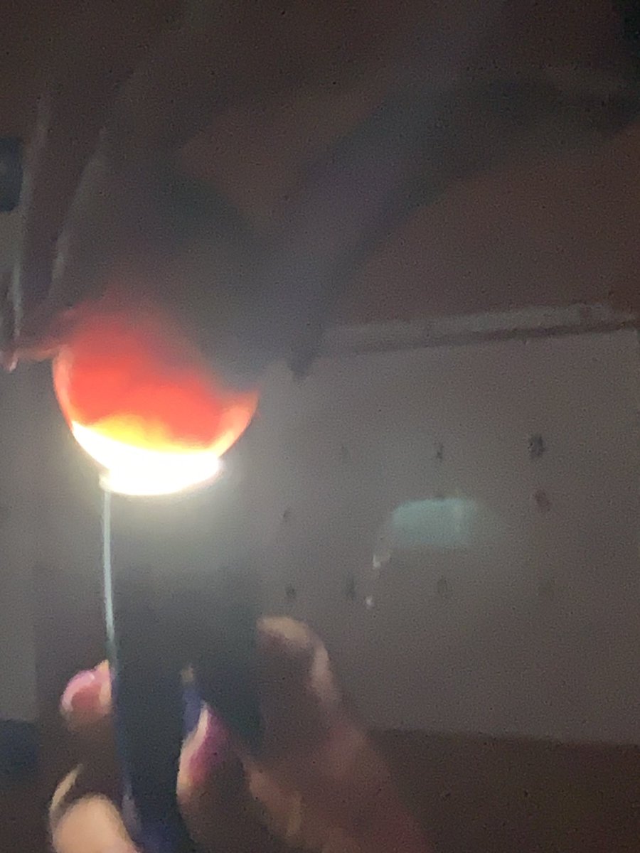 STEMagillPSMS's tweet photo. Once a #STEMray ALWAYS a STEMRay!! ππ What a fantastic end to my Friday! Not only did we have Barb from @palmbeach4h, but 6 of my STEMlings came back to @palmspringsms to see the ducklings being candled too! We are too EGGcited to meet our hatchlings next week π£π£#embryology https://t.co/jebTfbkP7W