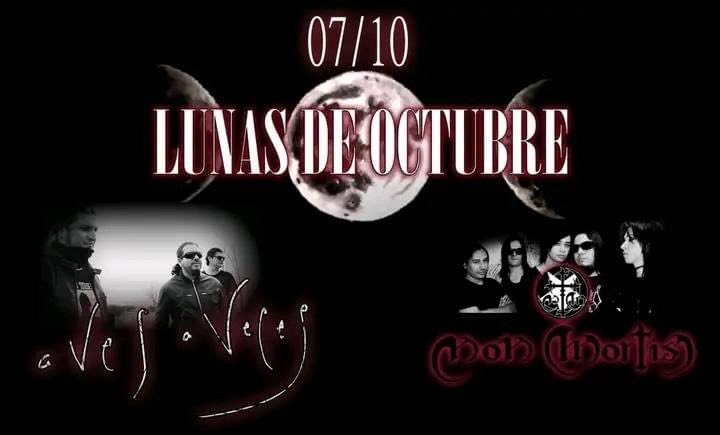 Atentos que esta semana se darán a conocer todos los detalles de nuestra próxima presentación en vivo junto a Non Mortis en Aguascalientes. 07 de octubre.

#AvesAVeces