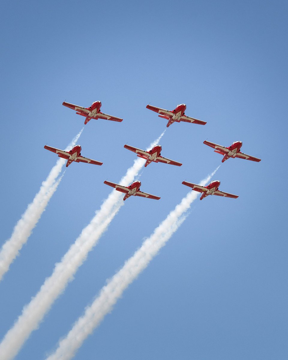 Ash O'Malley tweet media