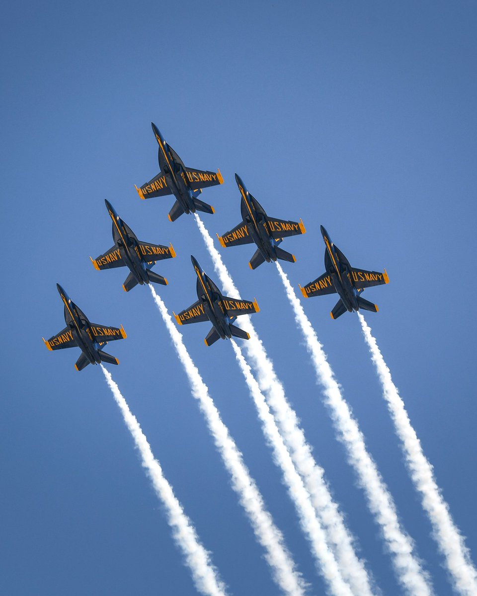 Ash O'Malley tweet media