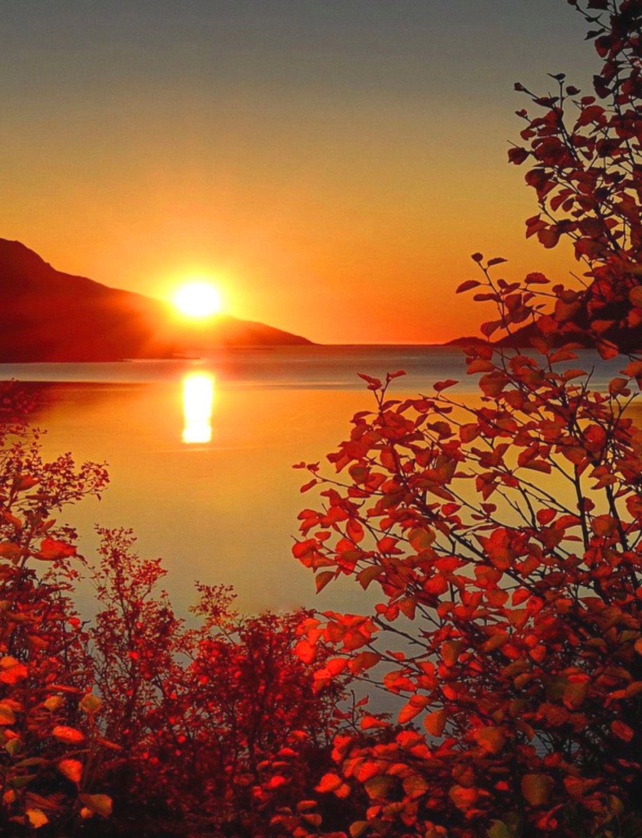 LoveSongs4Peace's tweet photo. Beautiful autumn sunset over the serene lake 🍂🍁🍂 https://t.co/O3HSeWM6q8
