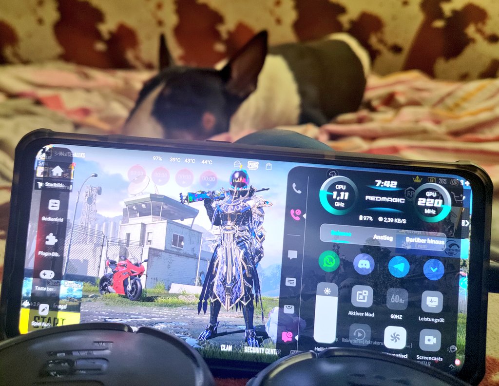 AlexBullterrier's tweet photo. #REDMAGIC7 #PUBGMOBILE #PUBGMDE https://t.co/qNBmRklGKH