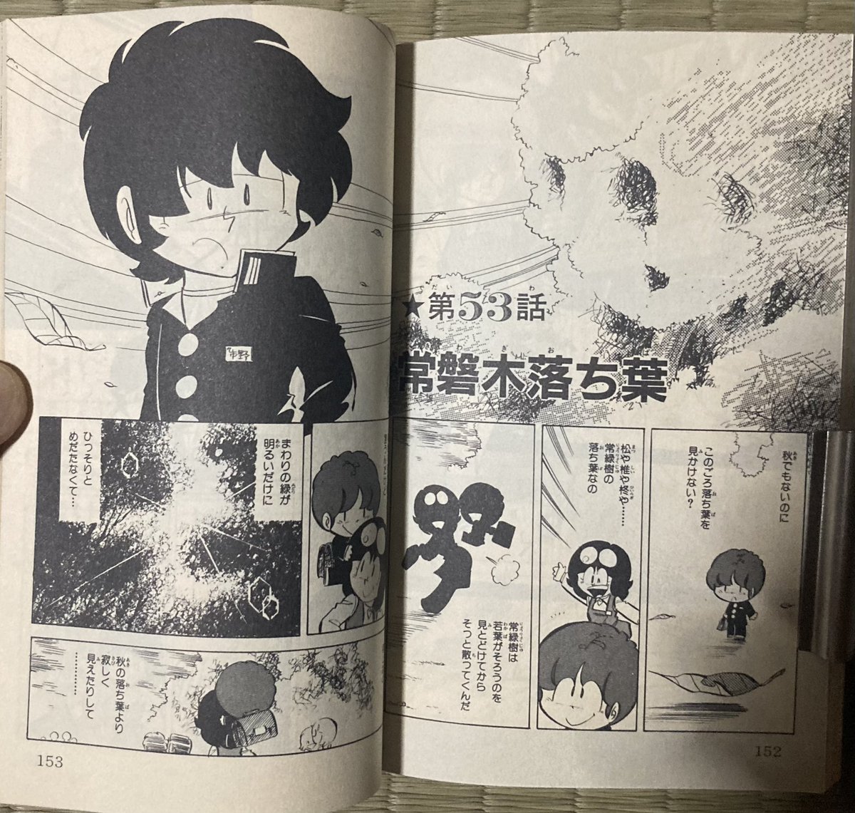 小山田いく先生「すくらっぷブック」 「常盤木落ち葉」 「わずか