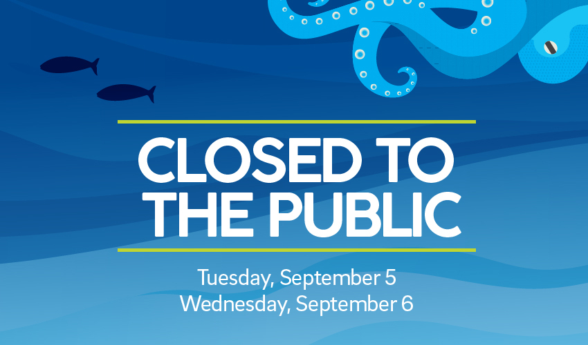 📣 Please note, Birch Aquarium will be closed on Tuesday, Sept. 5 and Wednesday, Sept. 6 for our annual all-staff retreat. Our team will be participating in professional development and planning to make our guest experience better than ever. We appreciate your continued support!