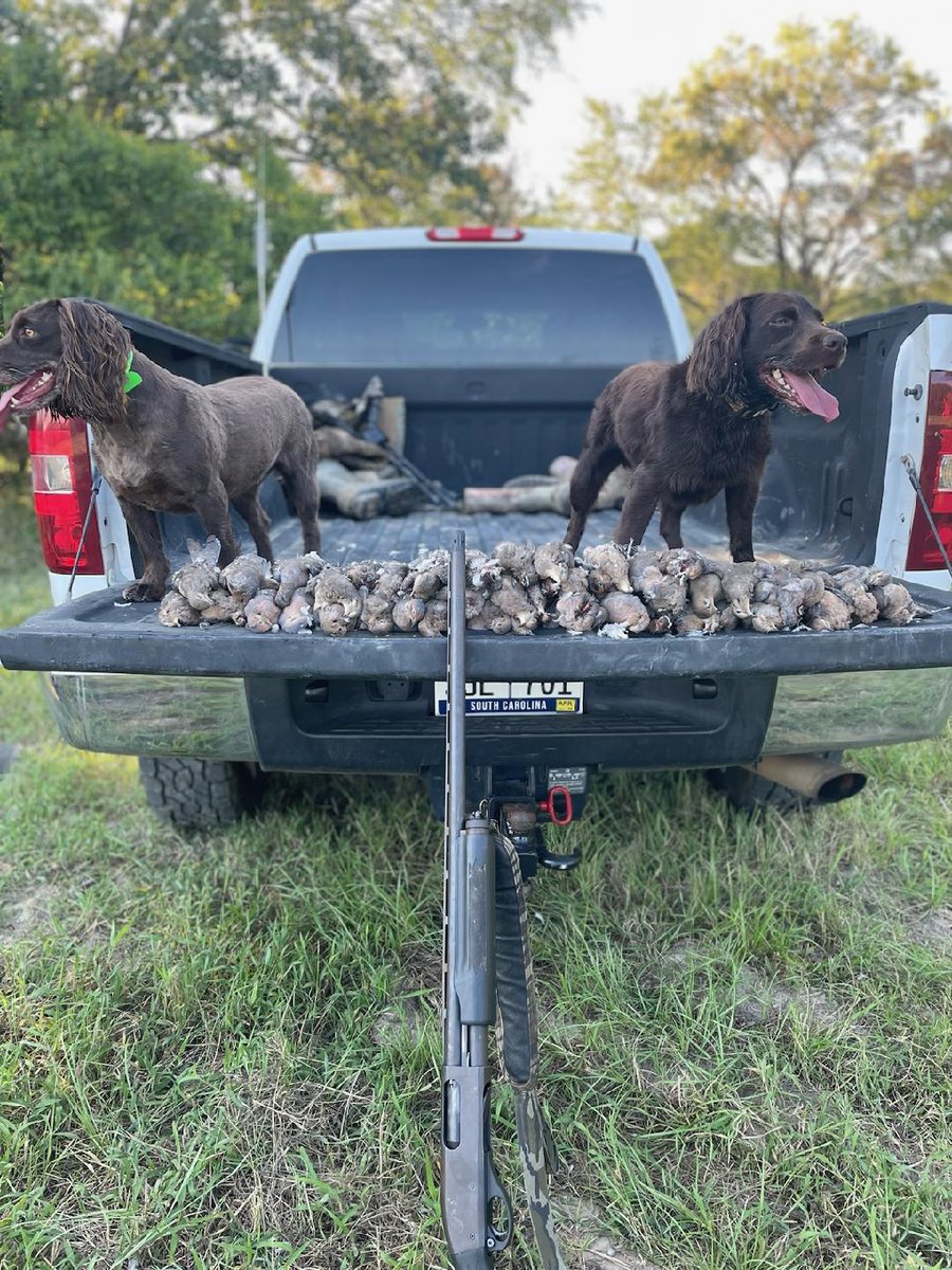 TimYoder17's tweet image. Good labor day.