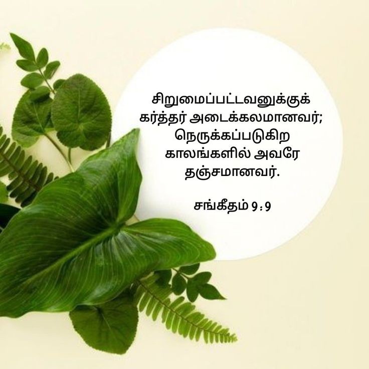 mohandavid10's tweet photo. https://t.co/rDNX1cHDdR
