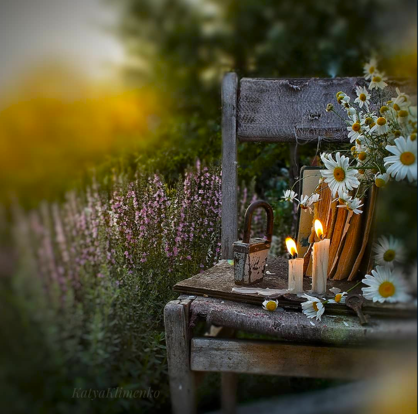 Twittblaster's tweet photo. ~ ๐ผ ~
Life has a way of reminding you that you are at the mercy of chance and that even well-thought-out plans can turn to chaos in an instant.
๐๏ธ~ Kelly Rimmer, "The Things We Cannot Say"
#Twittblaster #TwittblasterFlowers #OneLinersTB #Reality #Life https://t.co/nlFGA8e3Gu