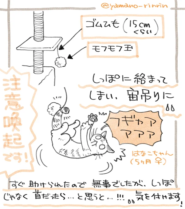 【注意喚起です】今朝はなこちゃん🐈がキャットタワー付属のおもちゃで宙吊りになってしまいました💦
幸い私しかケガしていませんが(消毒済み)ビビったので情報共有します。

しばらく部屋の片隅に隠れていましたが、今は見える所で寛いでます。
あ～…今でも(私の)心臓バクバクしてます…💦 