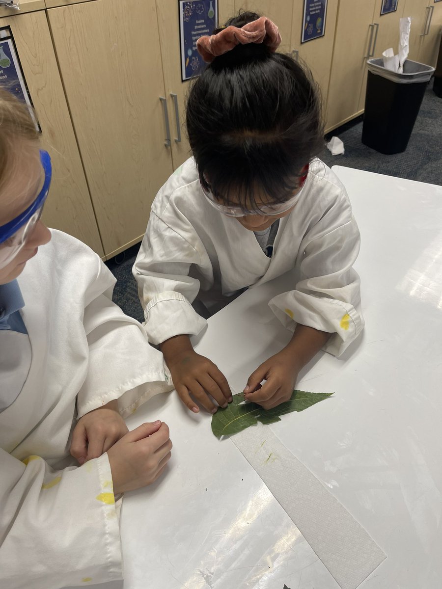 ALBurrussEle tweet media