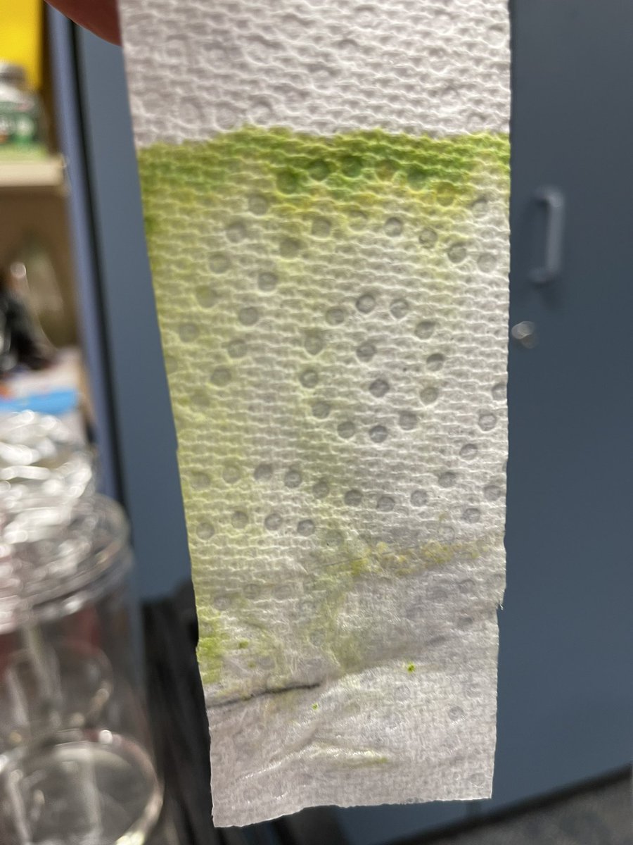 ALBurrussEle tweet media