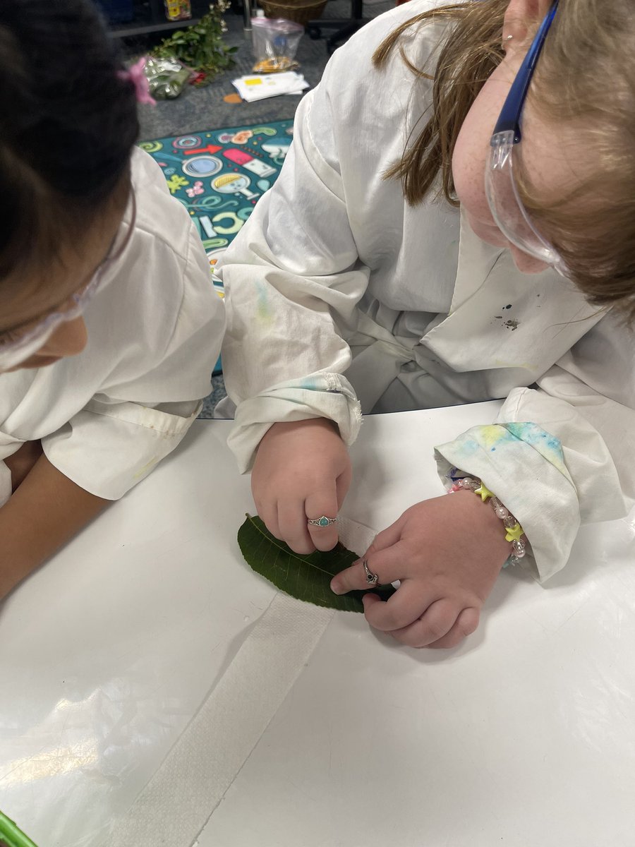 ALBurrussEle tweet media