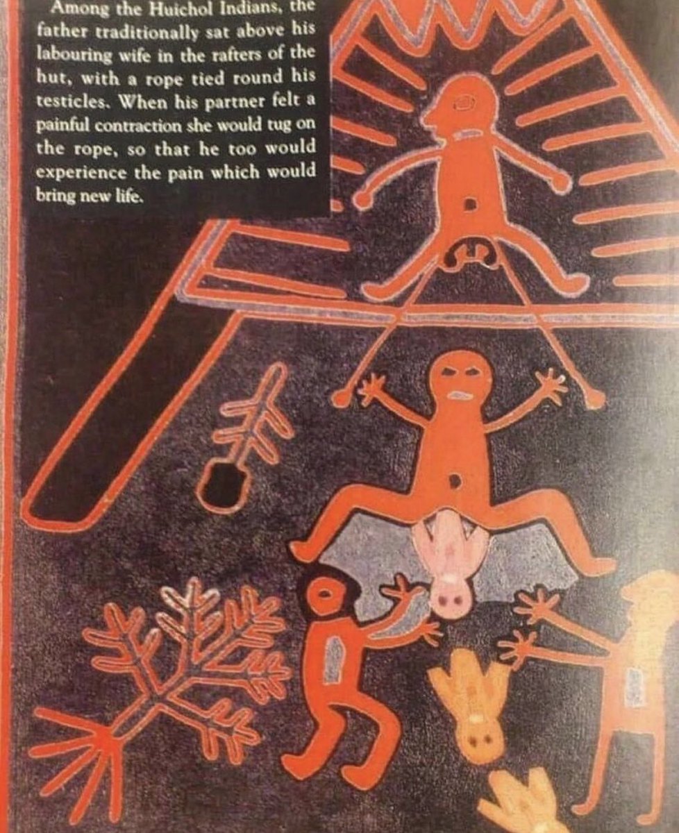 The Indigenous people known as the Huichol first appeared in the highlands of Central Mexico some 15,000 years ago. According to their ancient traditions, both men and women would experience the pain of childbirth. Here's how it was done: the father would position himself on the
