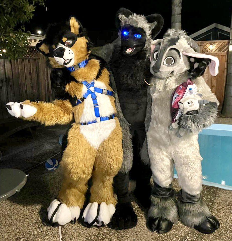 At a housewarming/pool party last night hosted by @TrigHorse. With @ViolaceousVolpe and Bill Trail Horse (@hoofurs). Can anyone tag the adorable dog with the harness?