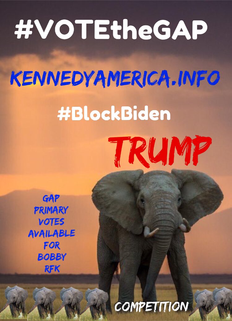 TannersDad's tweet photo. Understand yet? #VOTEtheGap #BlockBiden https://t.co/QrsIU1FYuo #RFK #VoteBobby @RobertKennedyJr #Kennedy24 #TimeToGoJoe #JoeMustGo #DemandDebate #BidenDebateKennedy Trump Landslide / Earthquake. Switch Your vote to #Bobby just for the primary. Vote the Gap ๐บ๐ธUSA๐บ๐ธ#Politics DEMs https://t.co/6zg6Bl3ySL