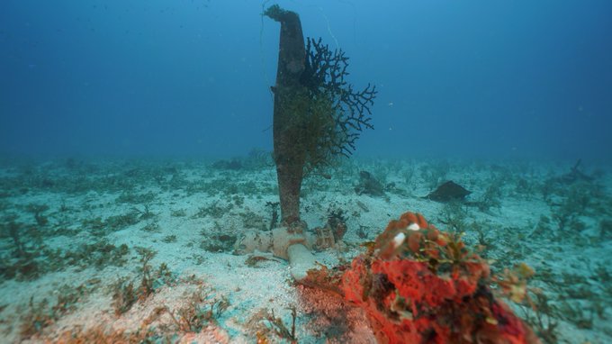 FrancesBekafigo's tweet image. #MIA bombers that go down in water are unlikely to be found. @ColinColbourn works to locate over 100 #WWII MIAs that went down in a lagoon in Micronesia. That led to the wrecks of five B-24s lost in the Adriatic Sea and identities of 23 U.S. #MIAs.  Continued success Colin!