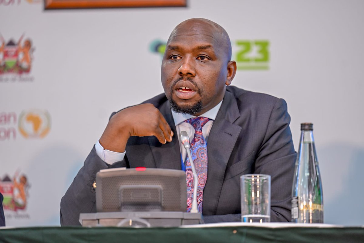 Mercy Mutana tweet media