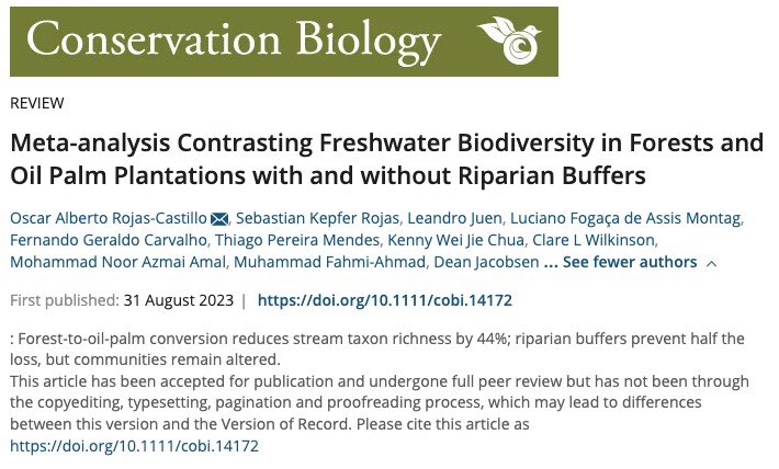 Meta-analysis Contrasting Freshwater Biodiversity in Forests and Oil Palm Plantations with and without Riparian Buffers 
doi.org/10.1111/cobi.1…

#labecoufpa #ufpa #icbufpa #freshwaterecology #oilpalm #amazom #ecology