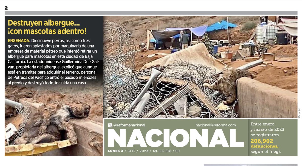 Hoy en todos los medios a nivel nacional sale publica la tragedia que se vivió en #Ensenada de la masacre de más de 19 perros y gatos que fueron arrasados por maquinara pesada. 

El nivel de indignación de la sociedad, de activistas y protectores de animales es indescriptible.