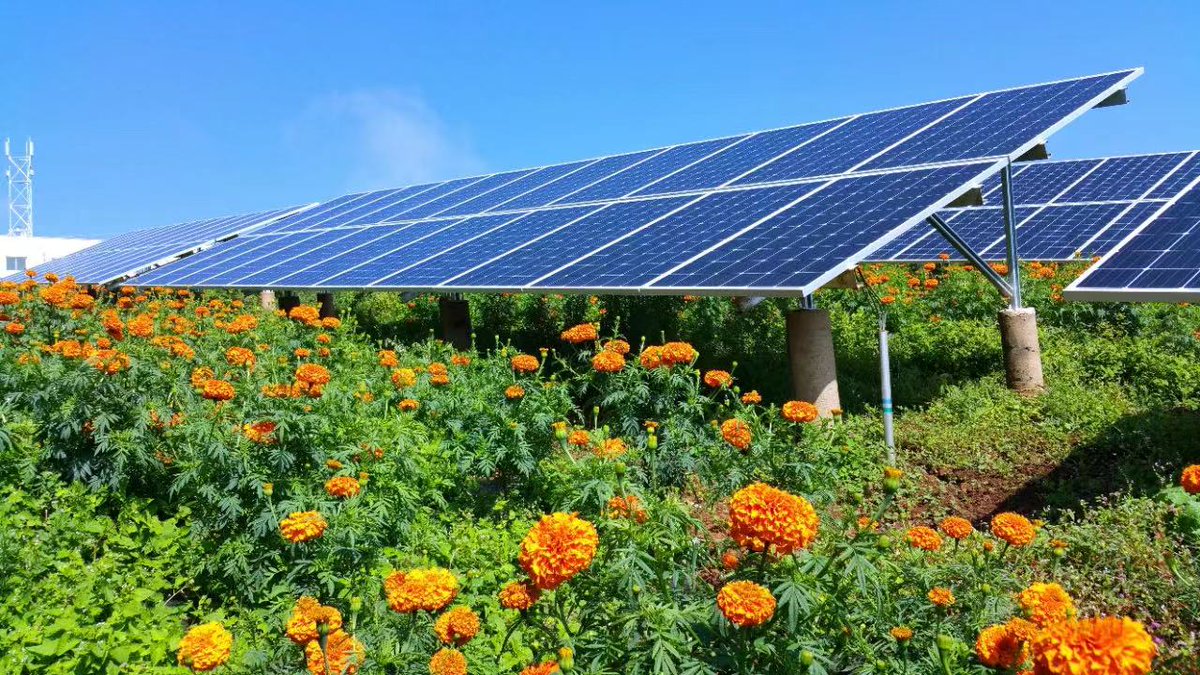 ChinaSPIC's tweet photo. #TogetherwithSPIC The Agriculture and PV Integrated Project of #SIPC GUIZHOU JINYUAN CO., LTD., focusing on increasing farmers' income, promoting industry development, has been honored with the Global Solicitation on Best Poverty Reduction Practices Award. https://t.co/r00S3iyHCH https://t.co/Qpmnkm1OgB