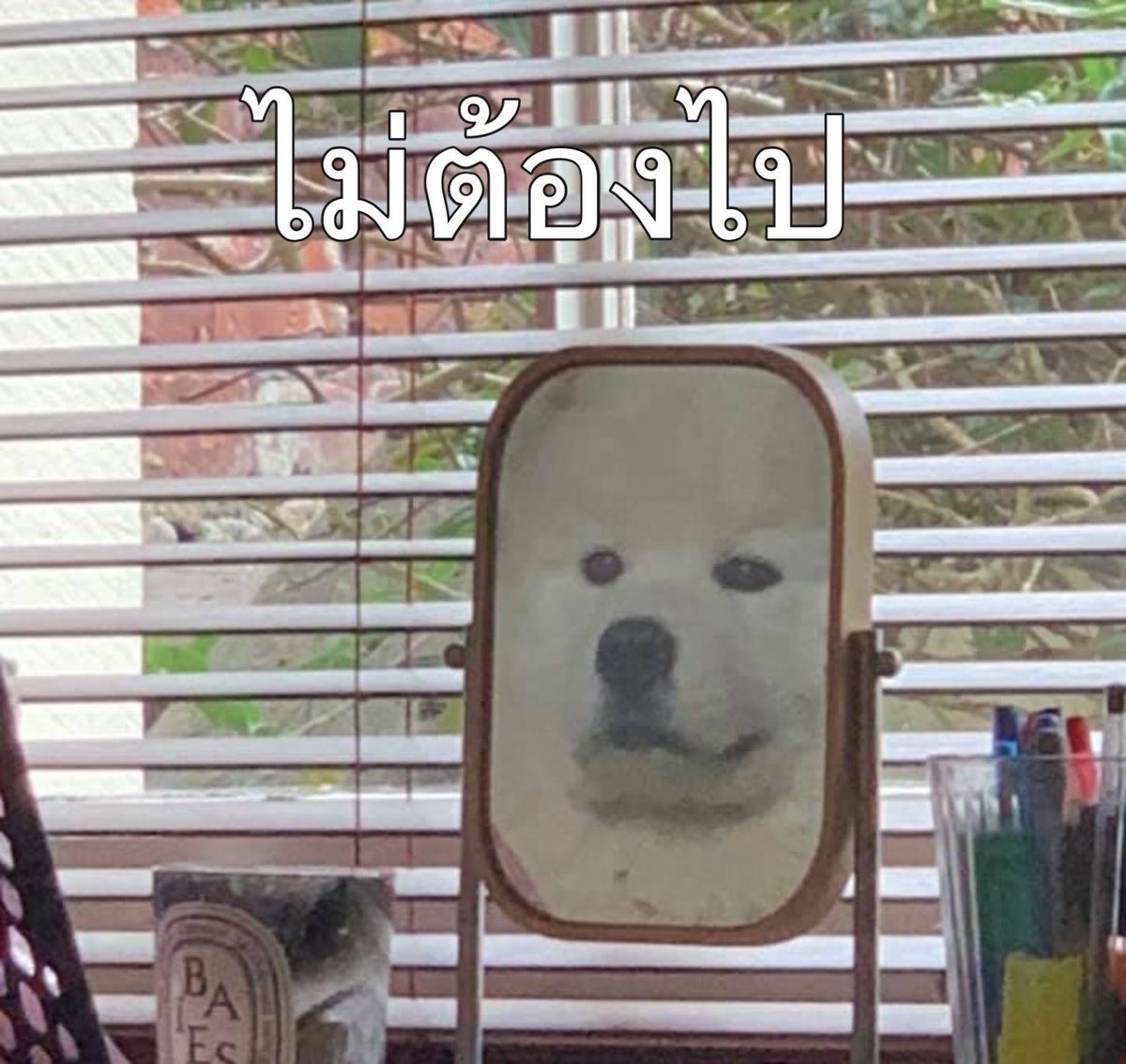 𝟏𝟓𝟕𝐜𝐦 tweet media