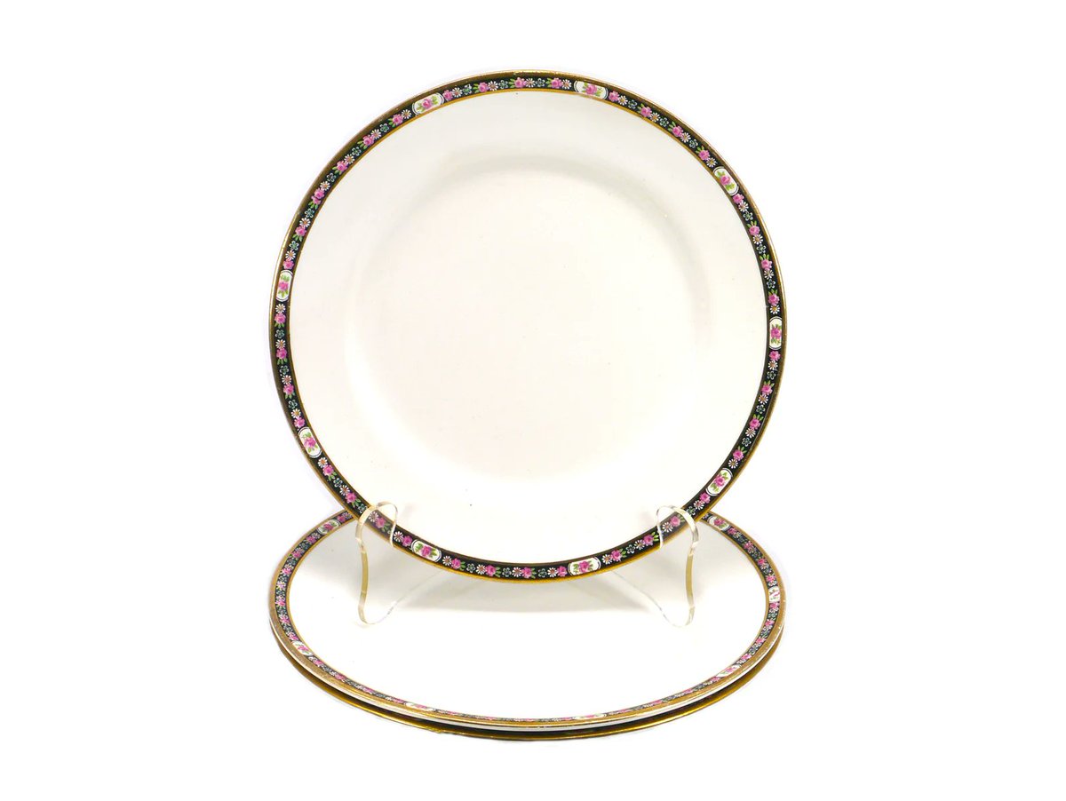 G97816960Girl's tweet photo. Antique Victorian-era John Maddock MAD7 salad plates made in England. https://t.co/IEV1pVHUXu via @Etsy #BuyfromGroovy #antiqueshop #tableware #antiquetableware #Victoriana #Victoriandishes #JohnMaddock #MaddockMAD7 #EtsySellers https://t.co/TxR5c09rsj