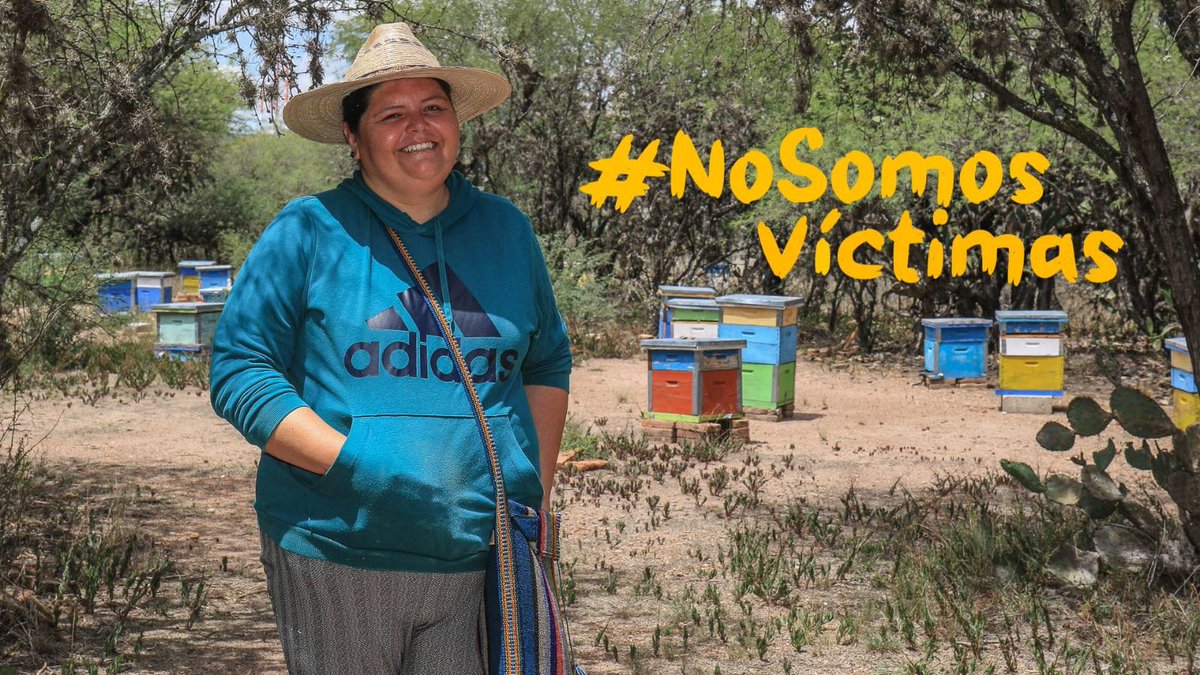 poplabmx's tweet photo. #Cedesa es una escuela para la vida. Las mujeres que han sostenido la organización comunitaria y horizontal en una región resiliente ante las adversidades son también maestras de vida, de procesos que transforman familias y pueblos enteros desde los afectos, la autonomía y la dignidad.
Nosotros te contamos su historia en punto de las 8:00 PM. ⏰
#NoSomosVíctimas