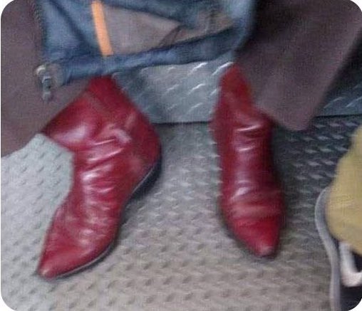 Ah perro, traes las de chile guajillo