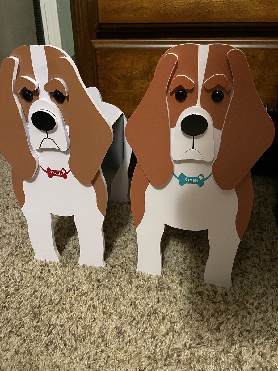 SammyBeagle2012's tweet photo. Momma got these planters a couple months ago. Even though she ordered them together, they were very different sizes. She said the big one was me, Sammy, &amp; the little one was Teddy. She asked sissy to put collars on them, &amp; here they are. Now I can still keep watch over the yard. https://t.co/gp664HhMWS