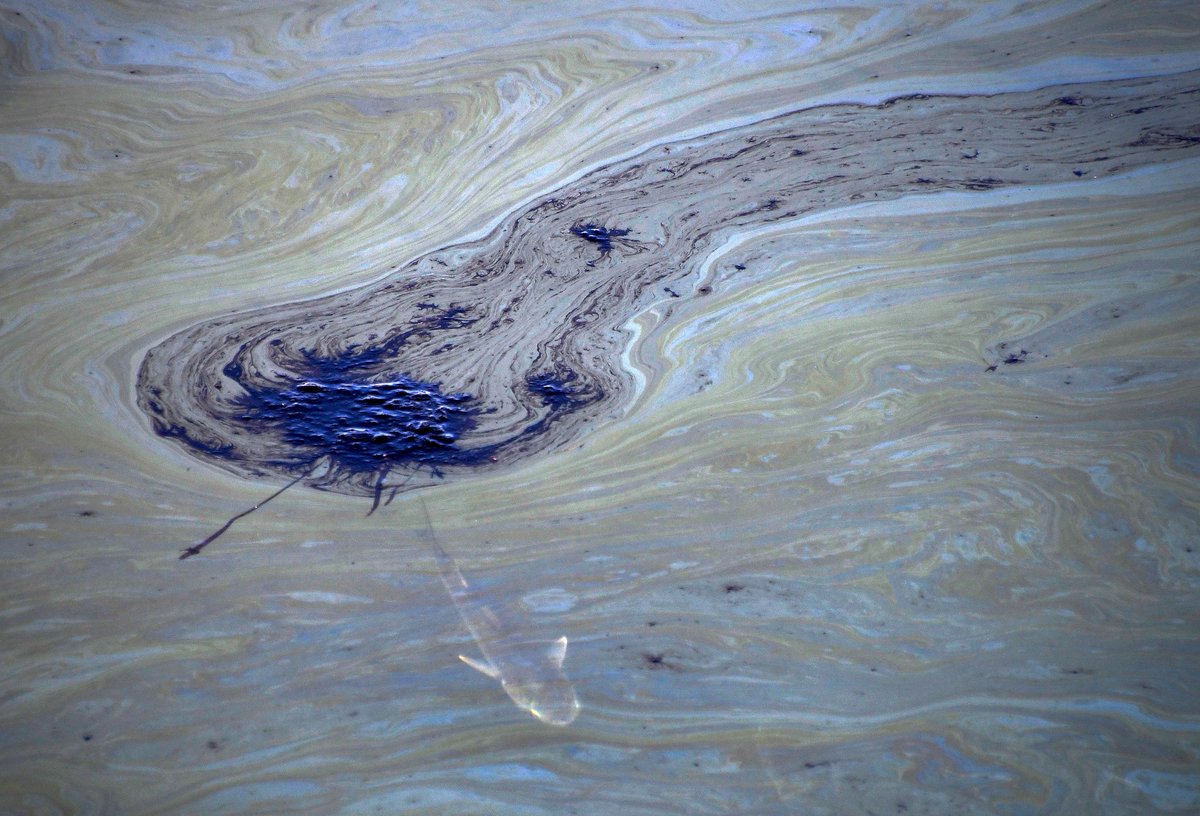 Environmental catastrophe strikes Chimanimani West! A pole-treating chemical spill has devastated water sources, leading to 28 livestock and aquatic life losses in the Murare River. Residents suffer health issues from fume exposure.  #ChimanimaniWest #EnvironmentalCrisis