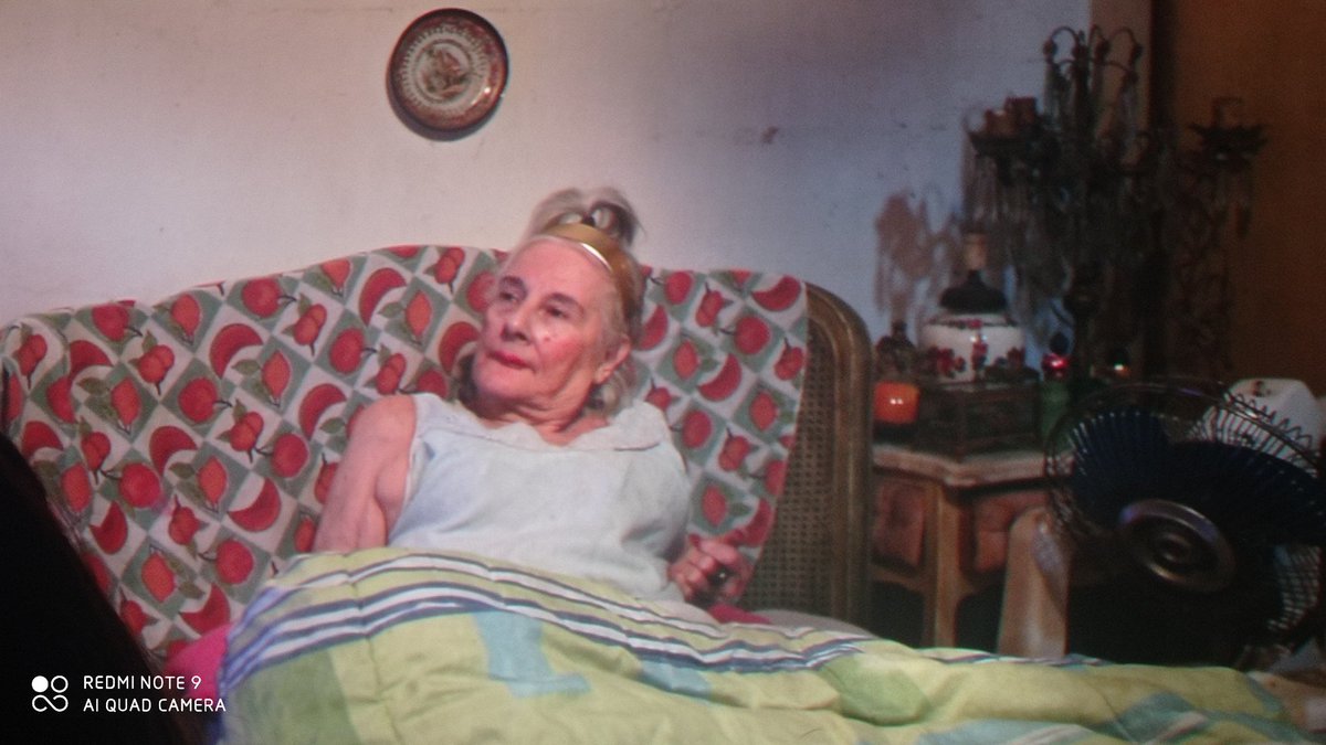 Rosina Mallarini tweet media