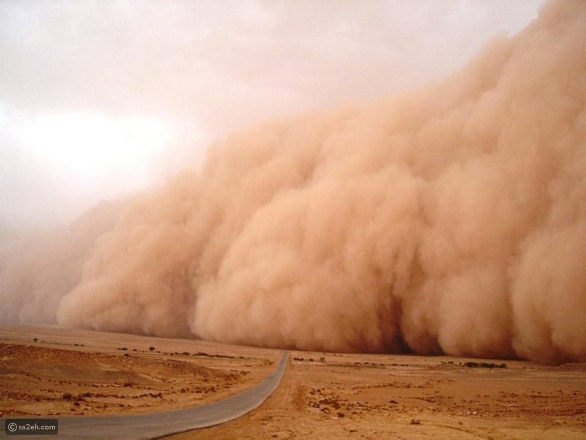 جمعان الشملاني من عنزة كان يسكن ضواحي العشاش حول خيبر بالمدينة المنورة ، في عام ١٩٥٣ مايصادف عام ١٣٧٢ هـ ( تقريبا ) وكان مع جماعته أهل بيوت شعر وهبّت عليهم عاصفة رملية استمرت ثلاث أيام ، فتاه ( ضاع ) طفل صغير له ، وأبعدته الرياح والعجاج عن أهله ، من حسن حظ الطفل أن وجد جماعة من…