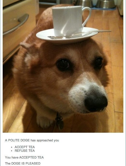 WholesomeMeme's tweet photo. https://t.co/zMinNLSLzg