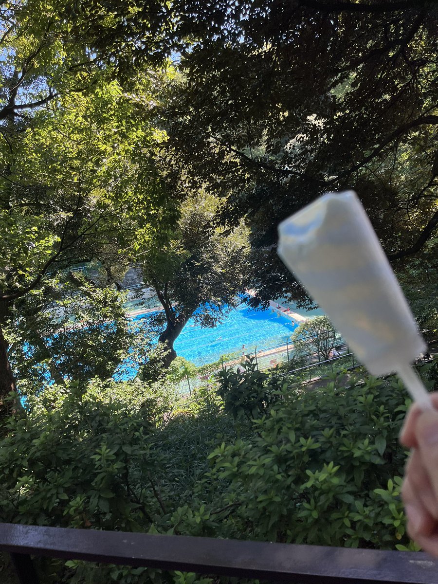 thag25's tweet photo. 今期初プール！今日は気温と水温がちょうどいい感じ。
くそ〜今年も17アイスのチョコミントが売り切れかぁ！！ https://t.co/Ufg9uR0pHW