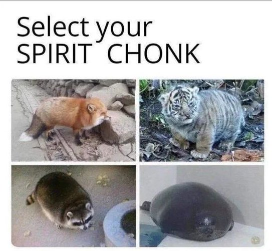 WholesomeMeme's tweet photo. 🤔 https://t.co/4FCbNgJJoZ