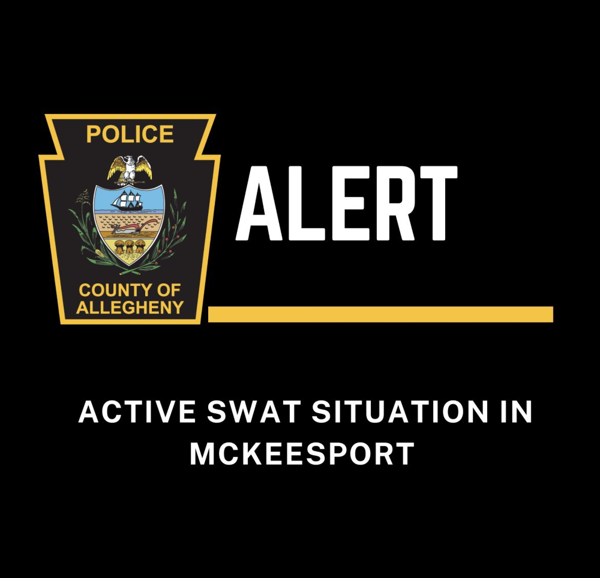 The Allegheny County Police Department's SWAT Team is on scene of an active stand-off situation along Pirl Street in McKeesport.

Just before 7:30 pm this date, McKeesport Police responded to a shot spotter notification in the 1200 block of Pirl Street.