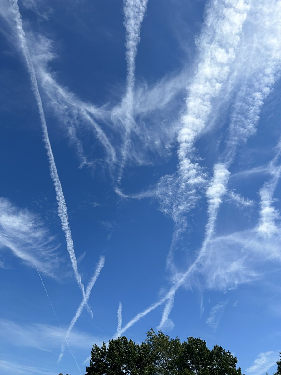 Nothing to see here just some chemtrails being sprayed🤨

This isn’t normal people.

#AlexWasRight #chemtrails 

(Note: there’s a plane spraying them but it’s hard to see in the photo)