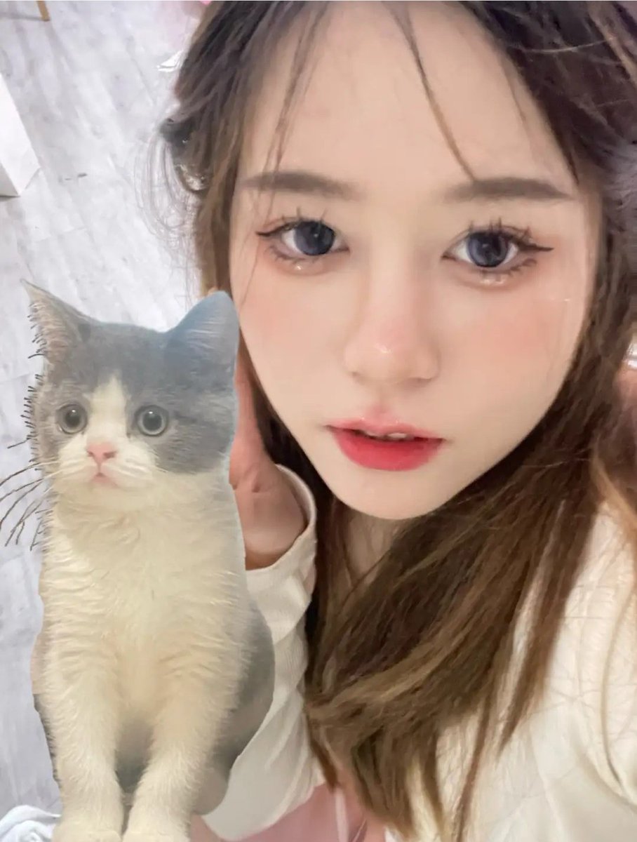 Shoulde22's tweet photo. 谁还没有哈基米 https://t.co/rjRBNozAa9