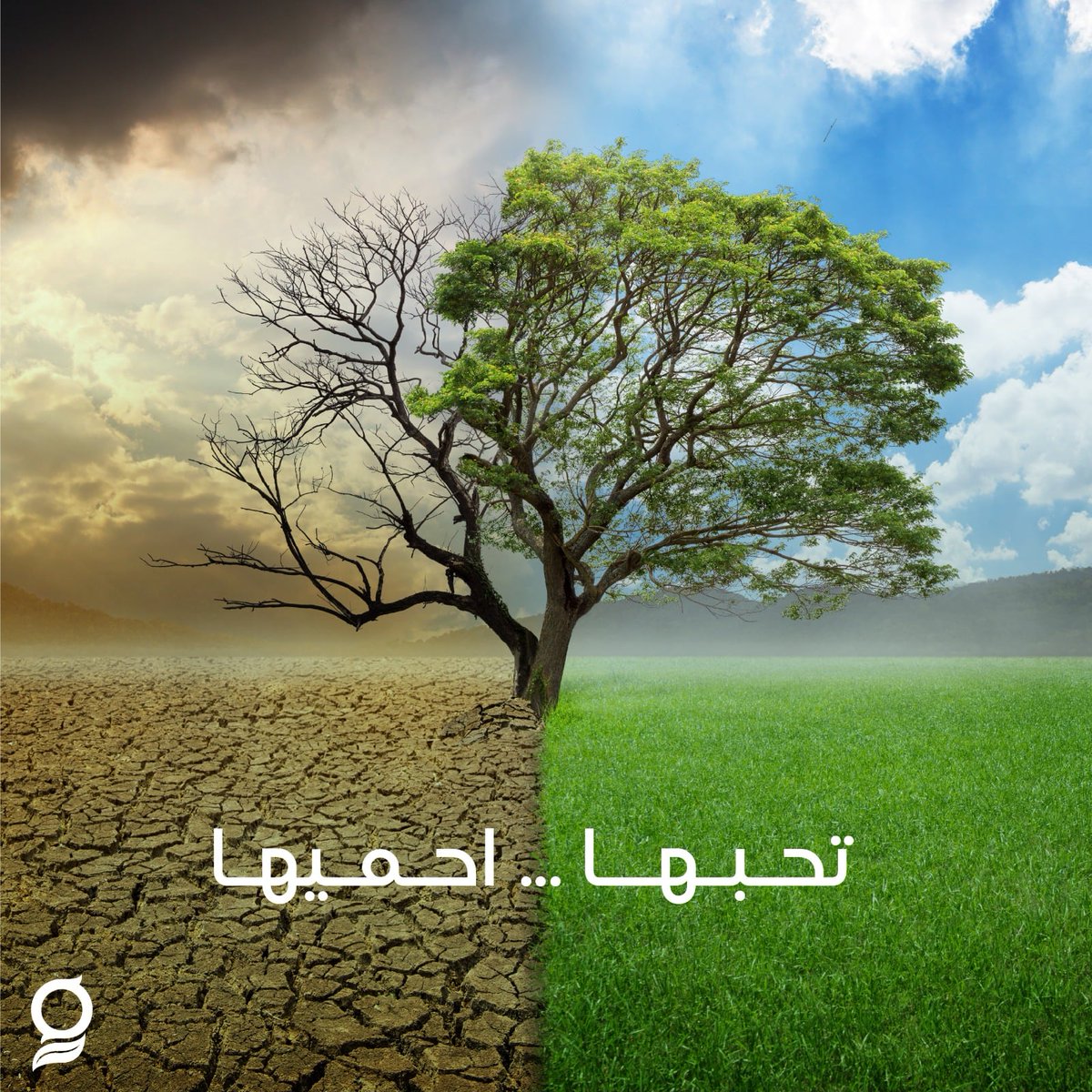JrynMwr39661's tweet photo. #تحبها_تحميها #سماد_عضوي 
"السماد العضوي هو حب. إنه تعبير عن رعايتنا للطبيعة ومستقبلنا." https://t.co/xtnOfNH2U2