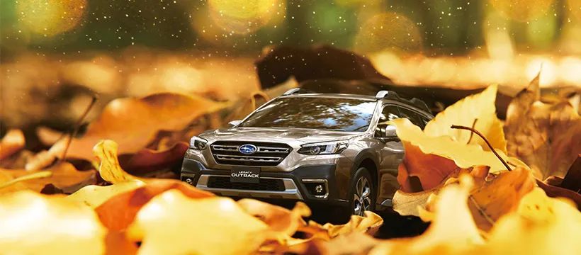 DuchoaOto's tweet photo. Quá trình bồi thường bảo hiểm xe ô tô diễn ra như thế nào? đọc giả cùng Subaru Gò Vấp tìm hiểu thêm nhé!
https://t.co/TcUJCosFVq
#subaru, #boithuongbaohiem,#baohiemoto,#subarugovap https://t.co/FYcPtaalsj